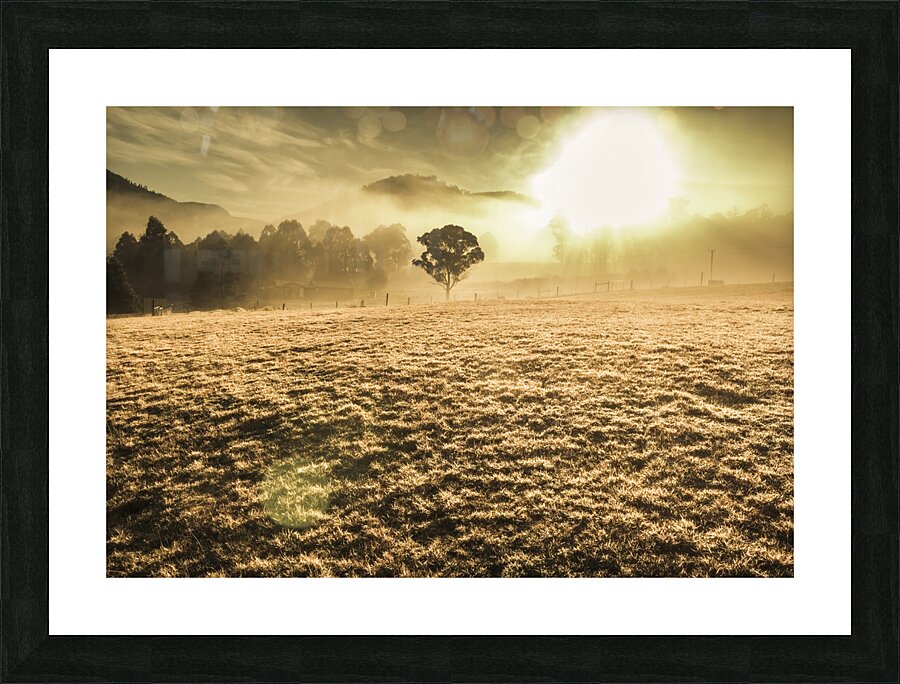 Enigmatic grassland Picture Frame print