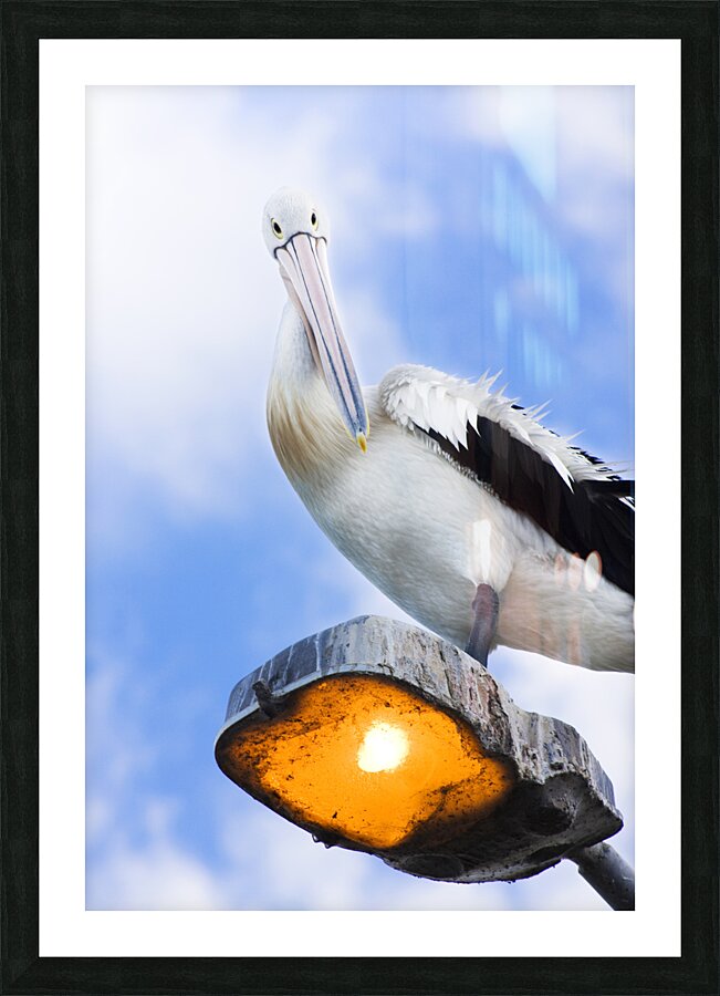 Peace And Balance Picture Frame print