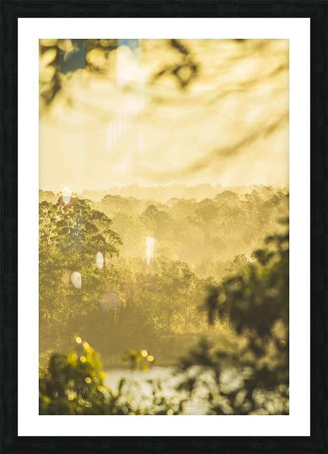 River Vista views Picture Frame print