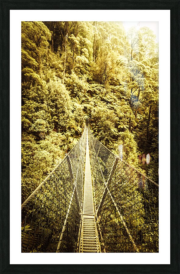 Canopy crossing Picture Frame print