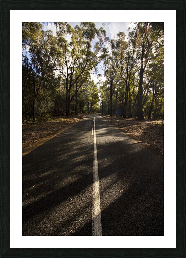 Forestry road landscape Picture Frame print