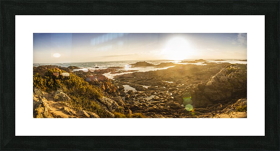 Sunlit Seaside Picture Frame print