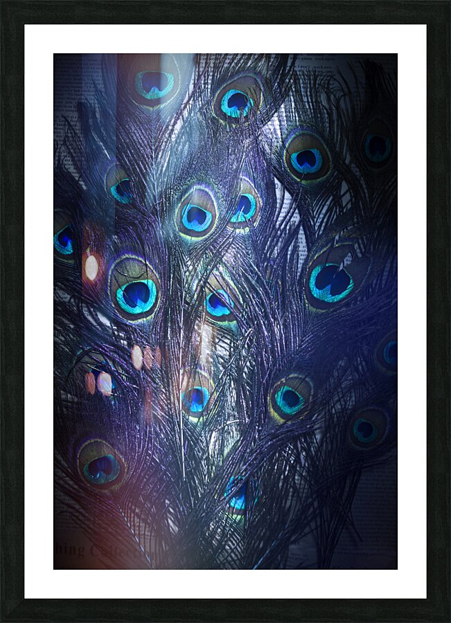 Aveyean Picture Frame print