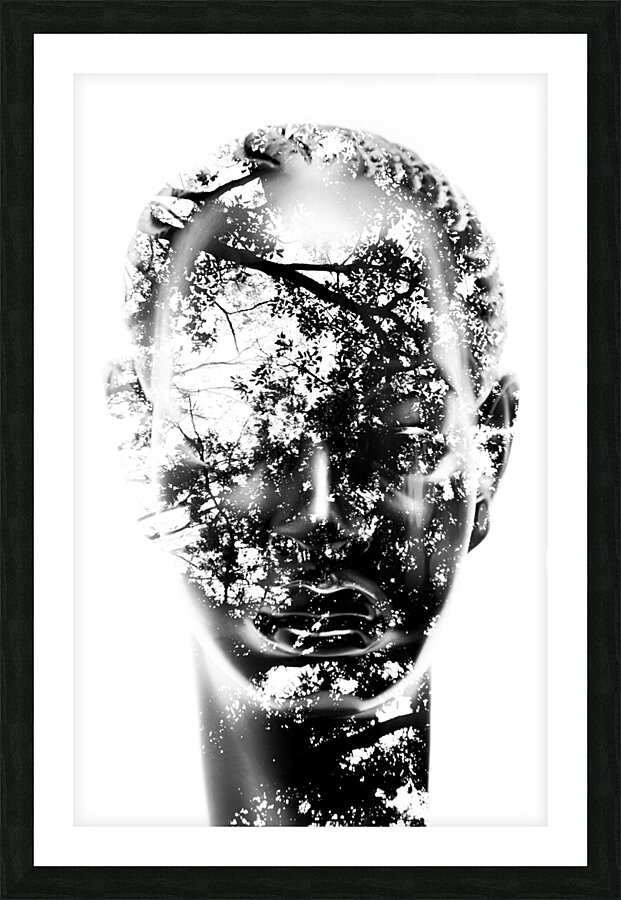 Inside Picture Frame print