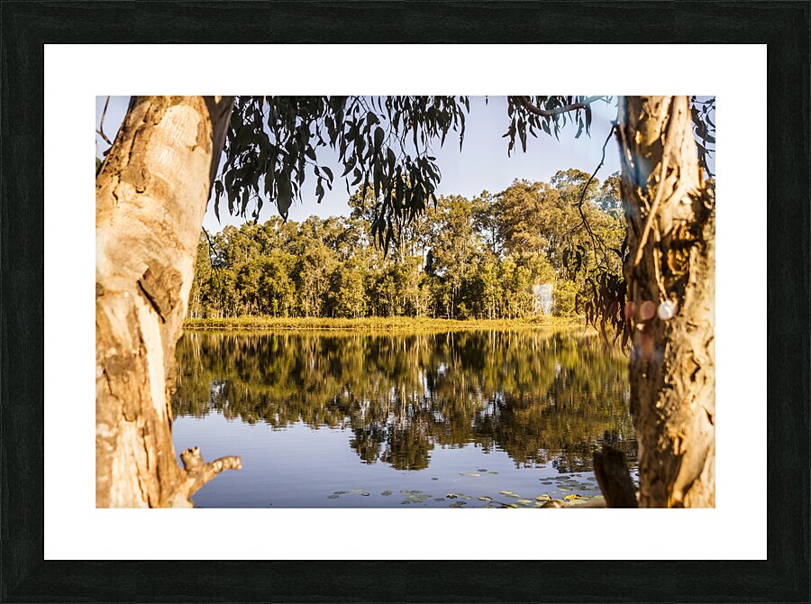 Lake wonders Picture Frame print