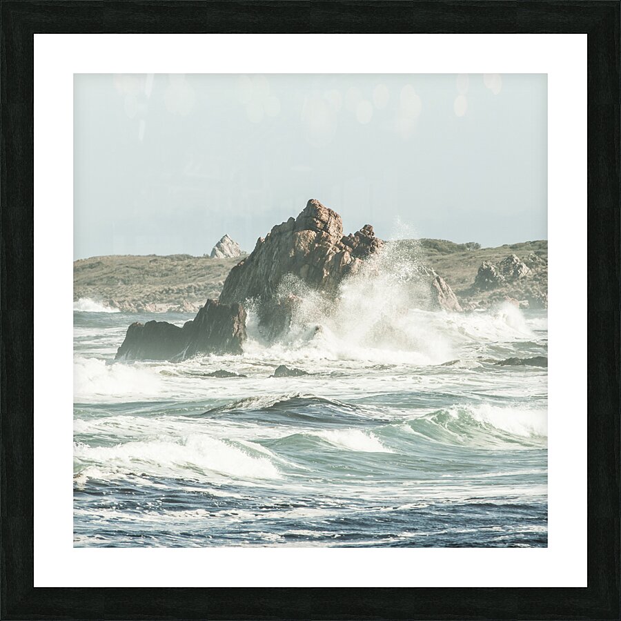 Aquatic spray Picture Frame print