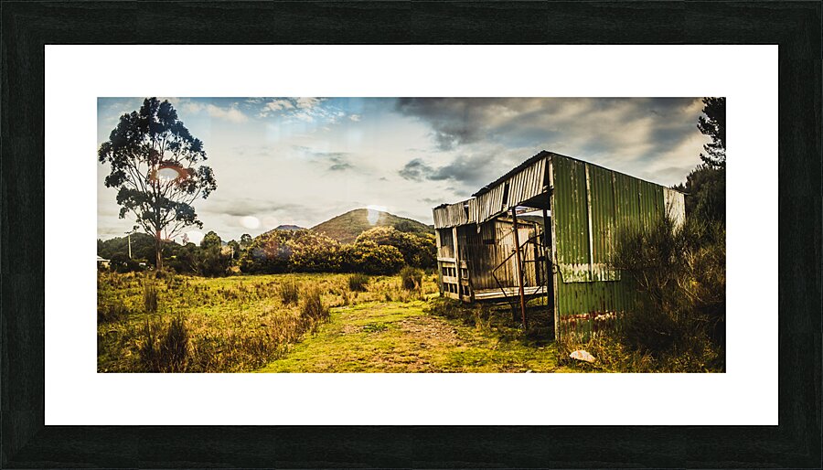 Rural abandoned shed in old rural countryside Picture Frame print