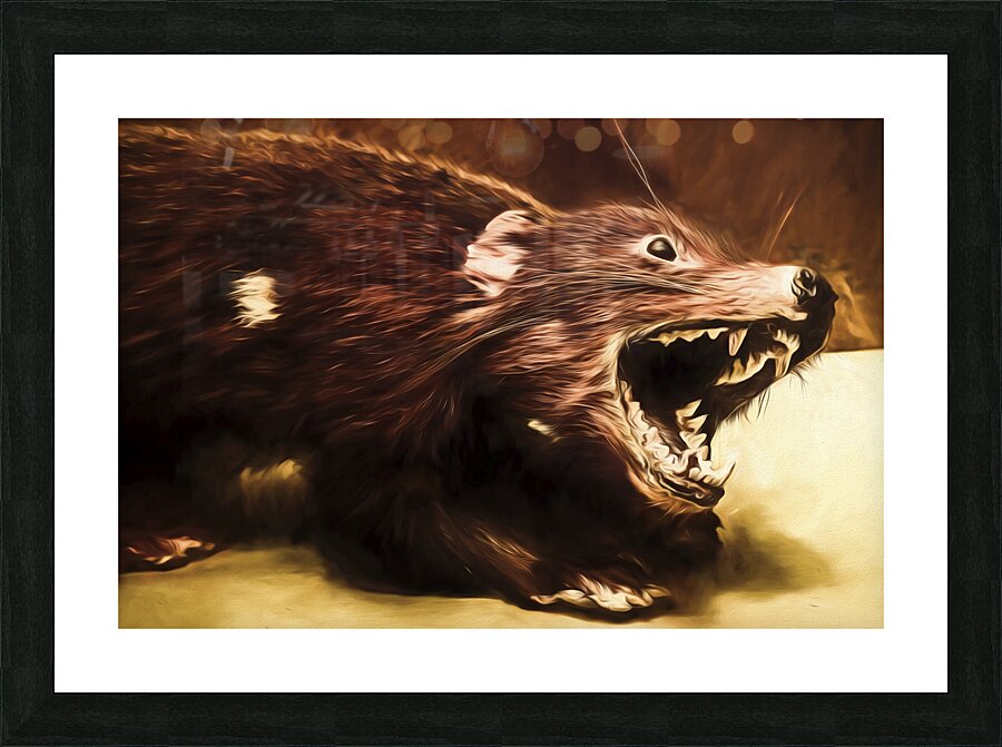 Tasmanian Devil digital painting Picture Frame print