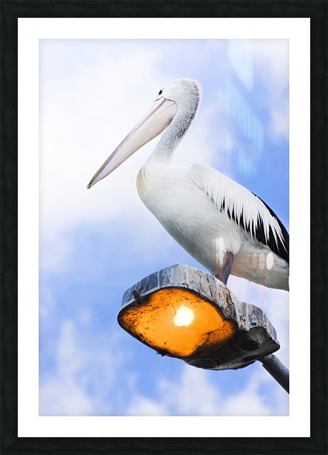 Looking To The Future Picture Frame print