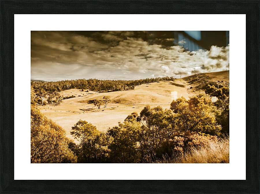 Fields of Jericho Picture Frame print