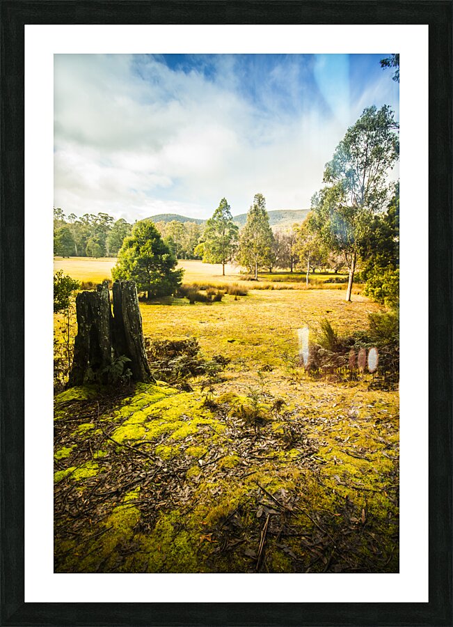 Bright and colourful forest Picture Frame print