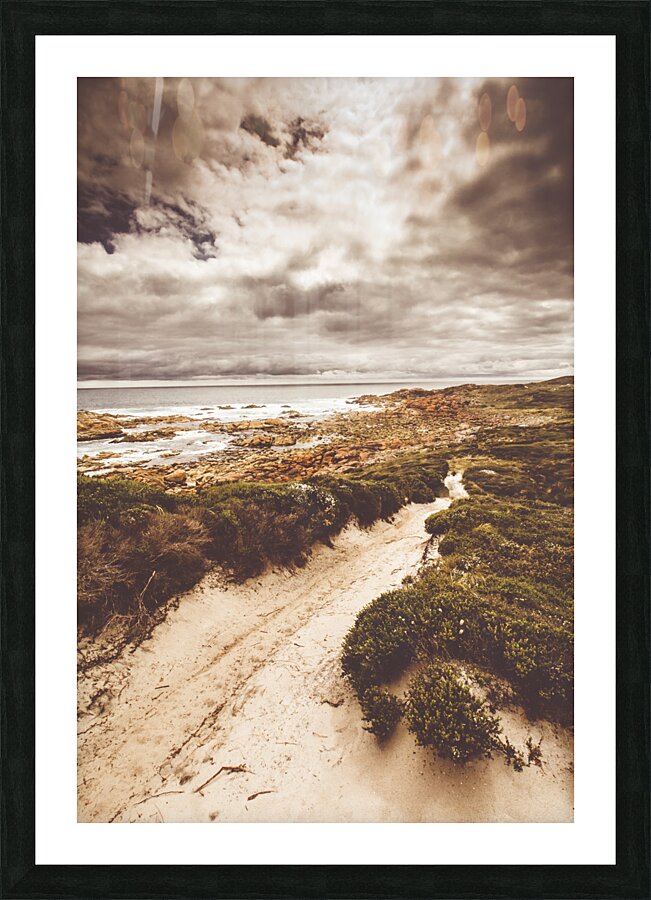 Pathways to seaside paradise Picture Frame print