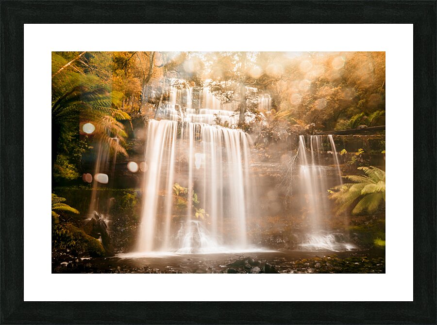 Fall of autumn  Picture Frame print