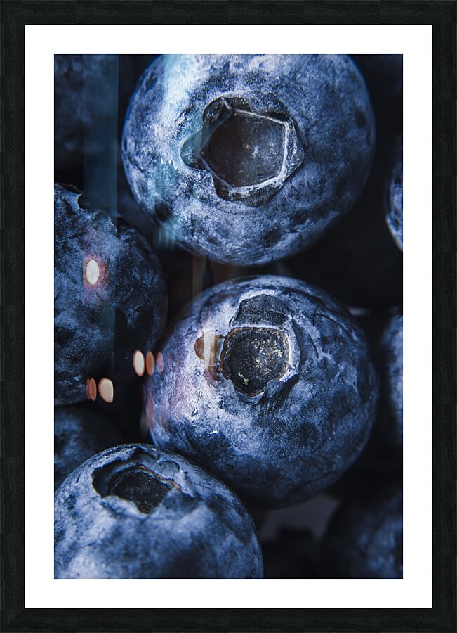 Blueberries in detail Picture Frame print