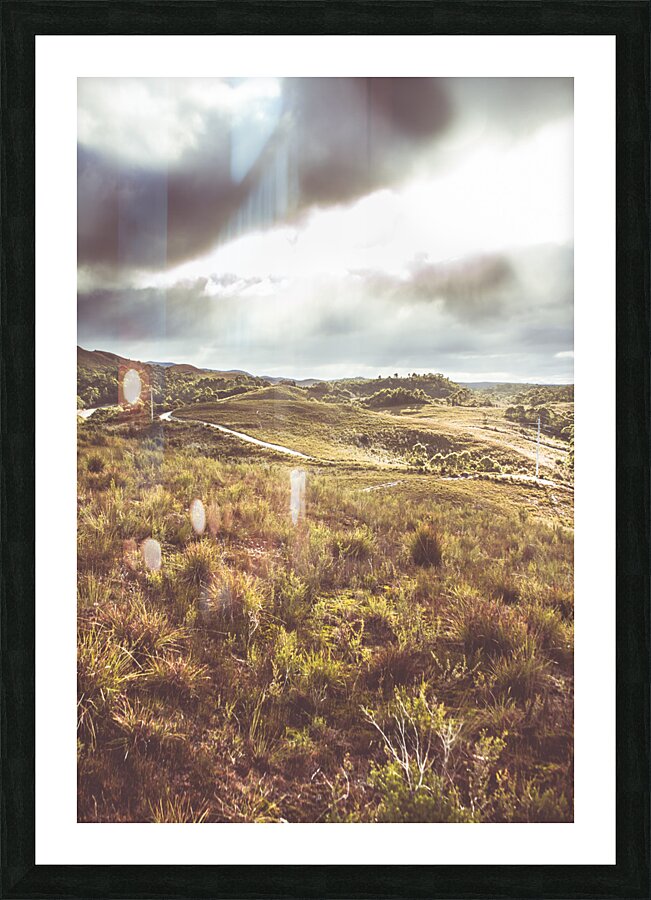 Afternoon pastures  Picture Frame print