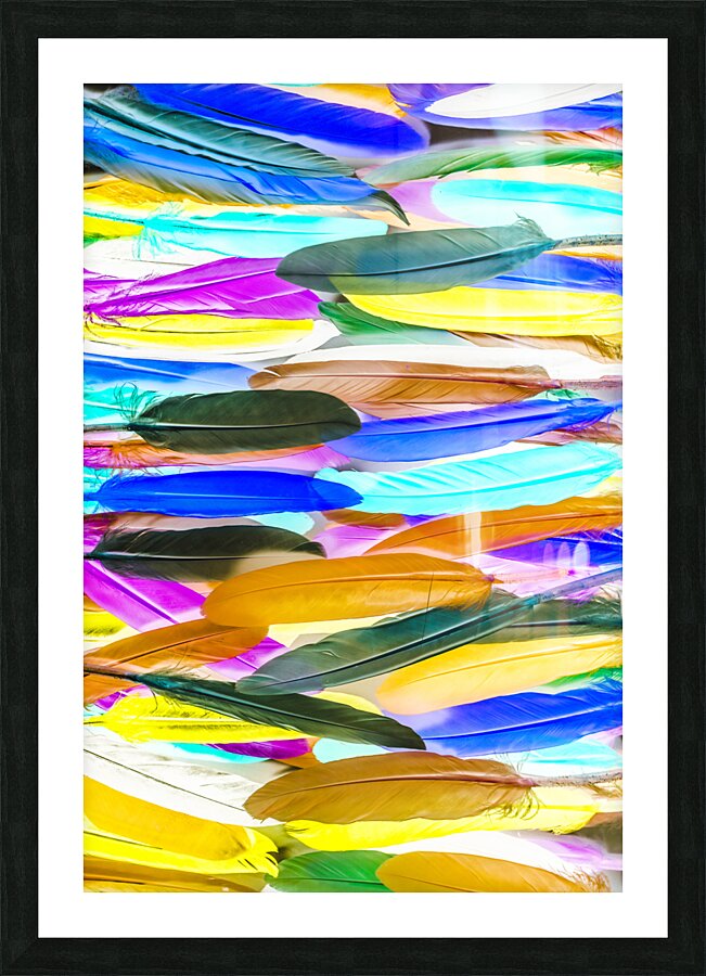 Color Novella Picture Frame print