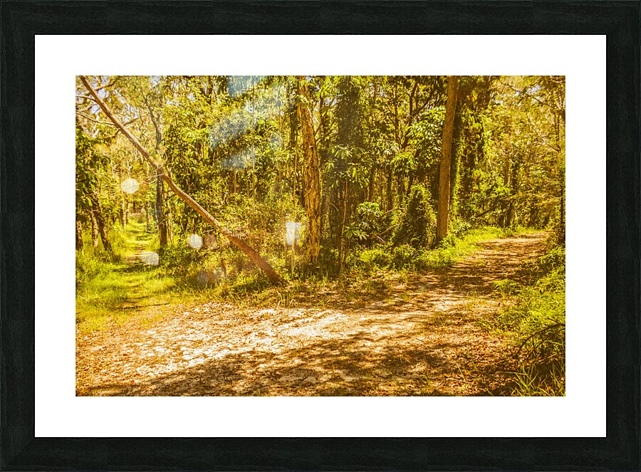 Choose your own adventure Picture Frame print