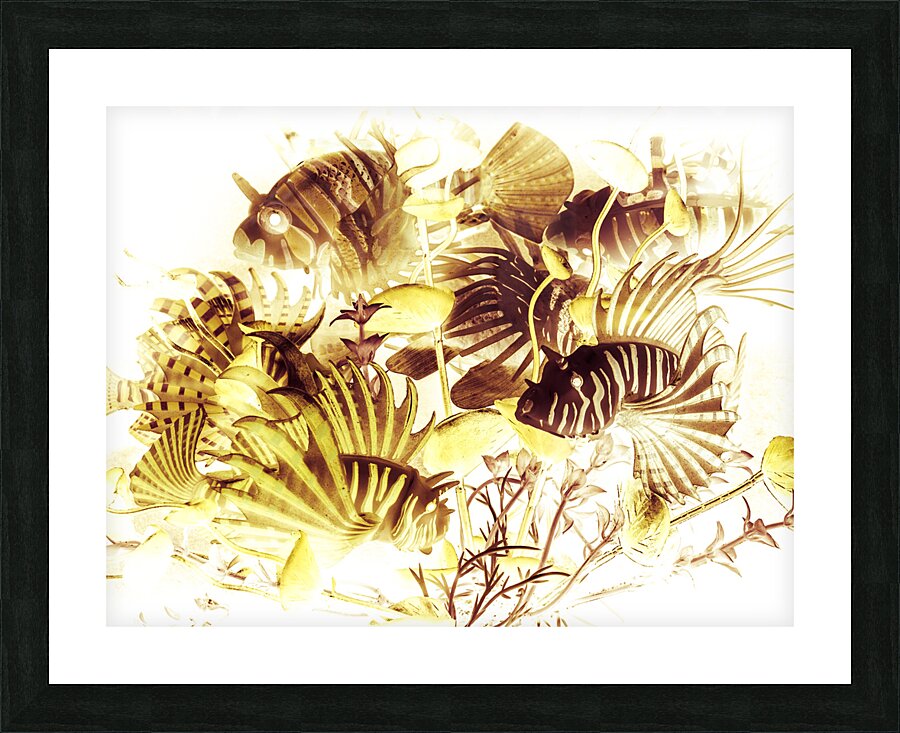 Tropical reef Picture Frame print