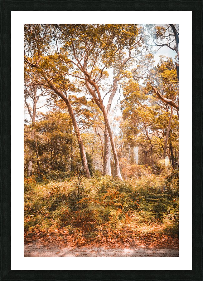 Autumn gold Picture Frame print