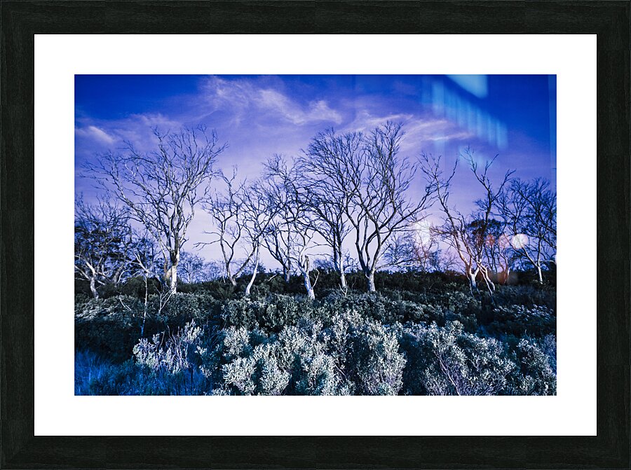 Dark scene from scary dreams Picture Frame print