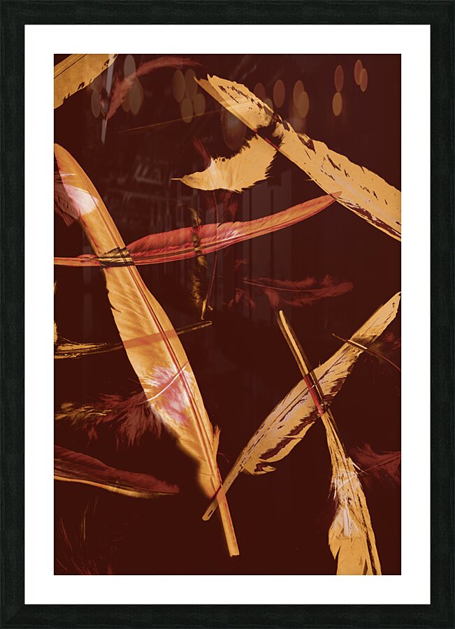 Abstract feathers falling on brown background Picture Frame print