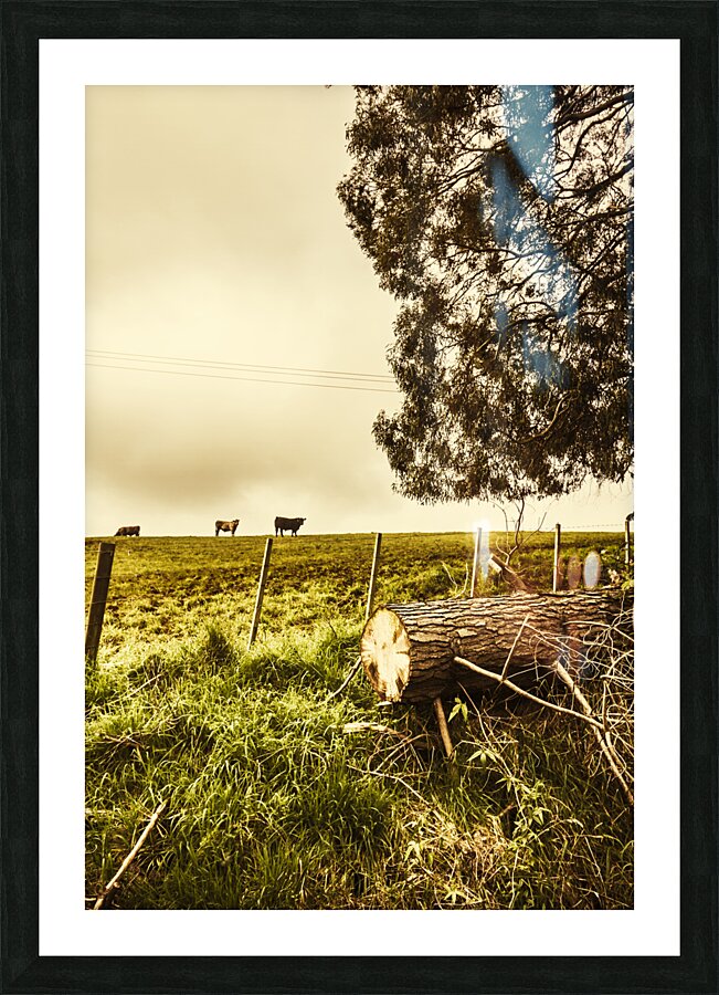 Rustic rural countryside landscape Picture Frame print