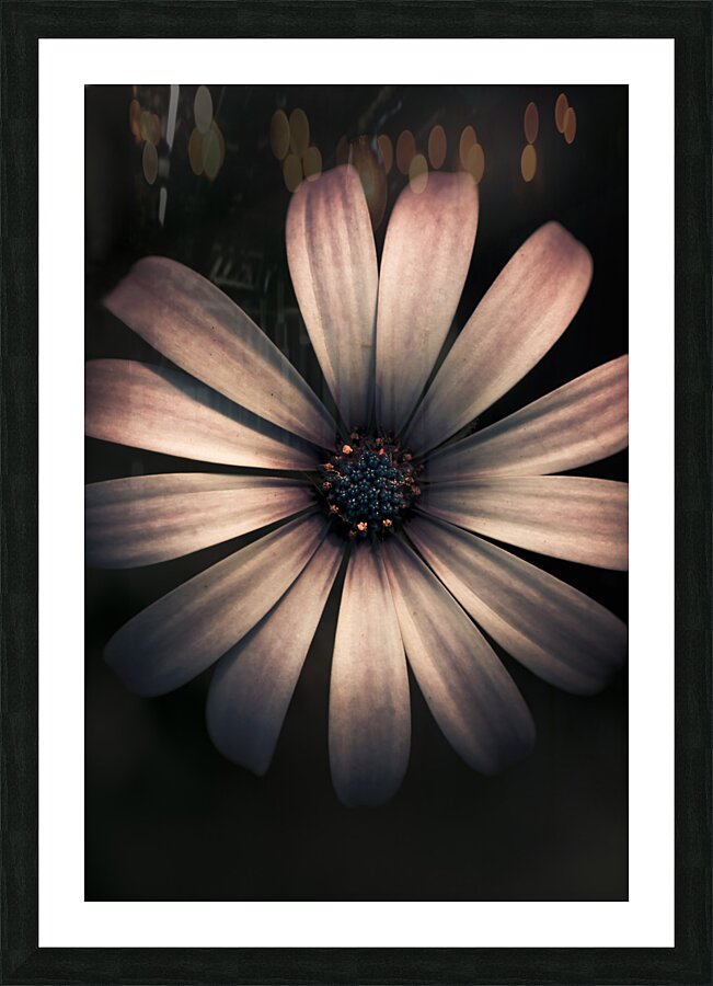 Dark Flower Picture Frame print