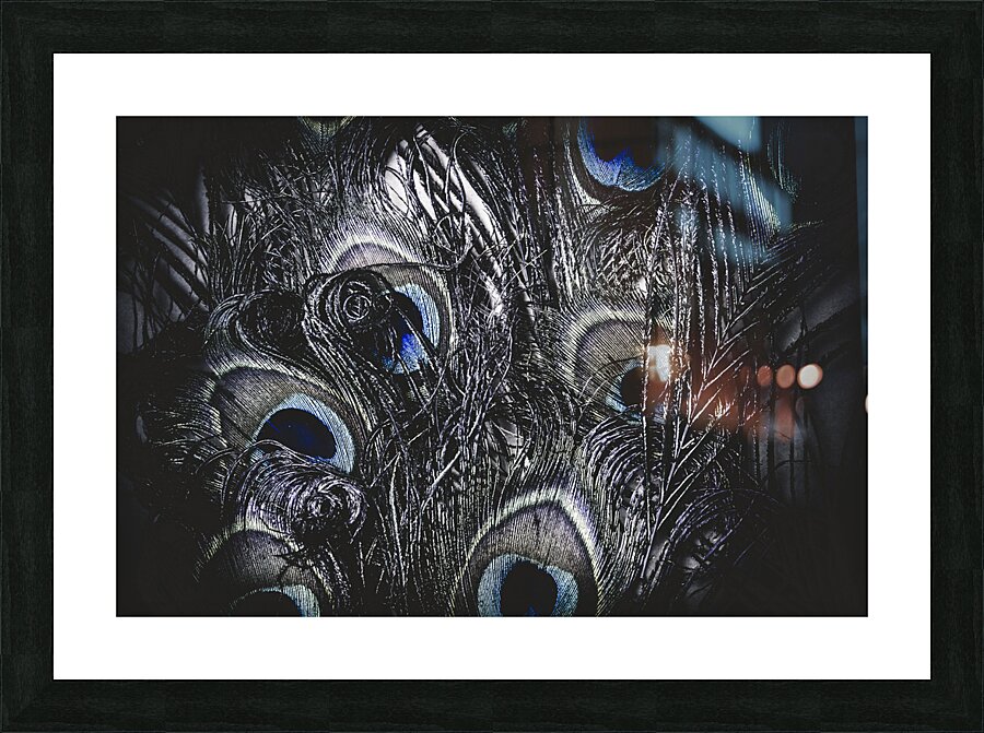 Dark blue peacock feathers  Picture Frame print