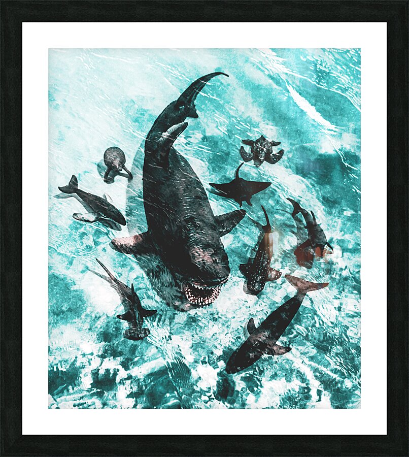 The shallows Picture Frame print