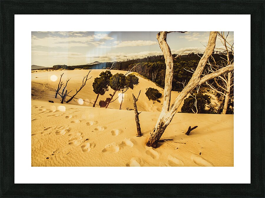 Strahan sand dune landscape Picture Frame print