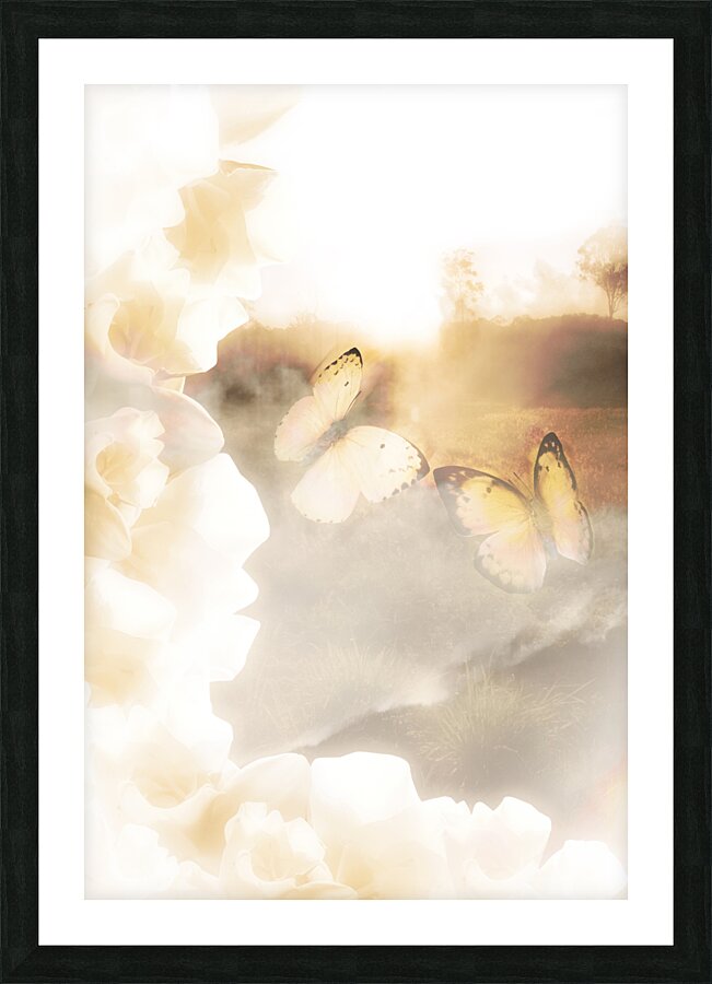 Butterfly Dreams Picture Frame print