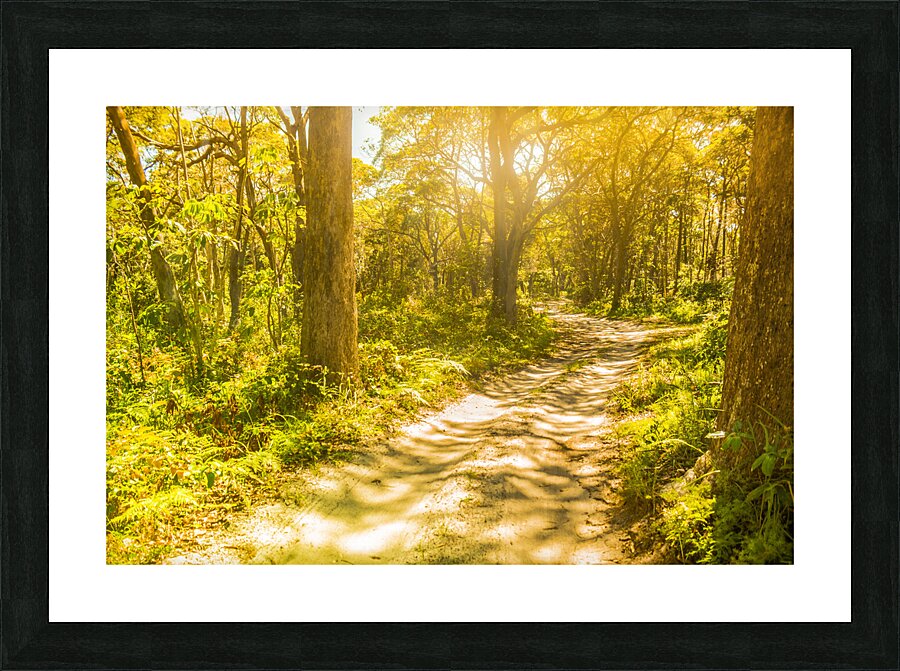 Lostwoods Picture Frame print