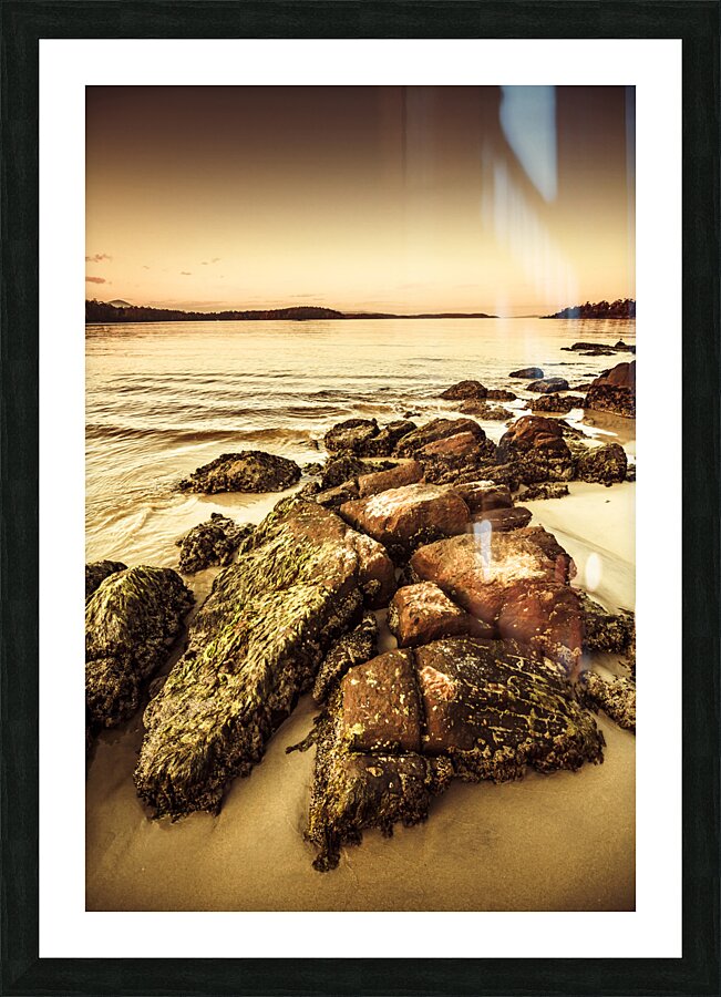 Oceanic harmony Picture Frame print