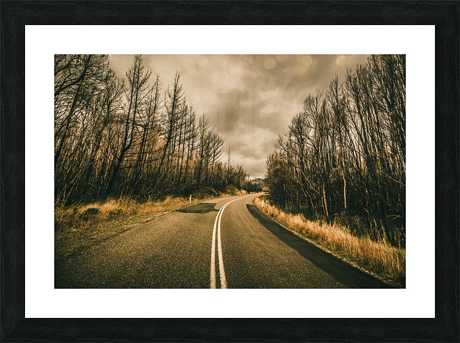 In winters way Picture Frame print