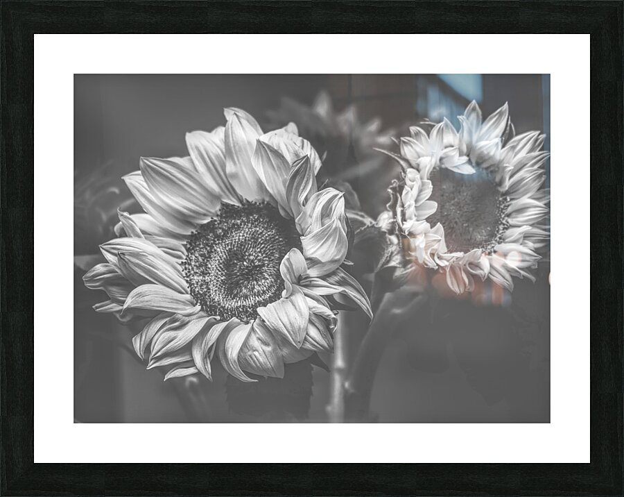 Summer nostalgia Picture Frame print