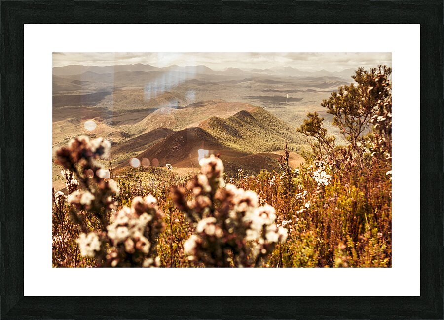 Spring mountain blossoms Picture Frame print