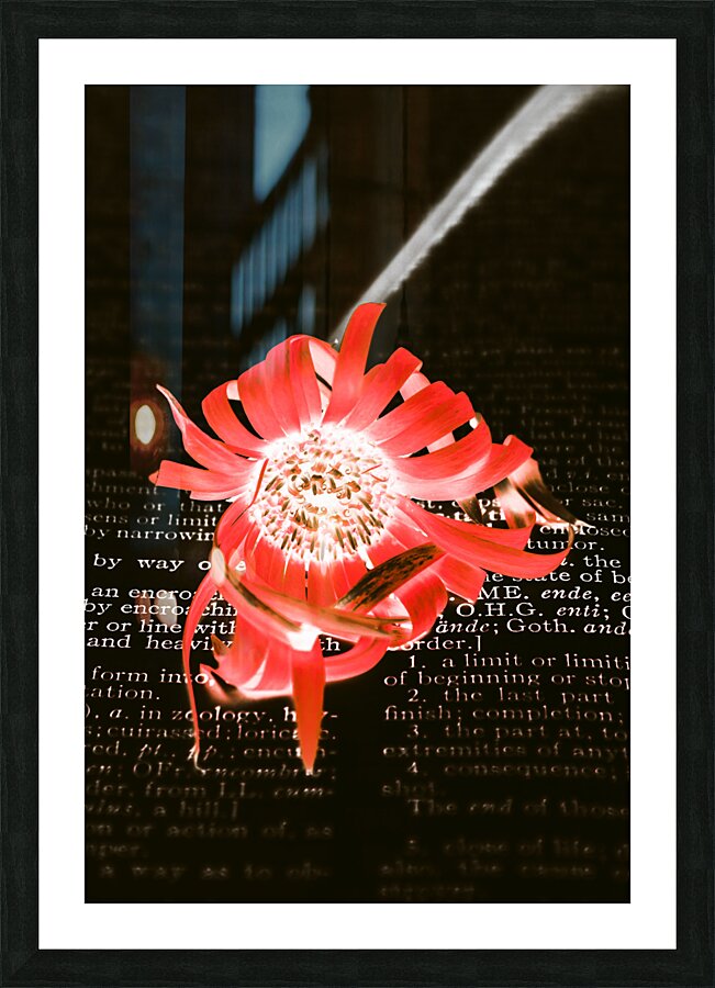 Inversion to the mean Picture Frame print