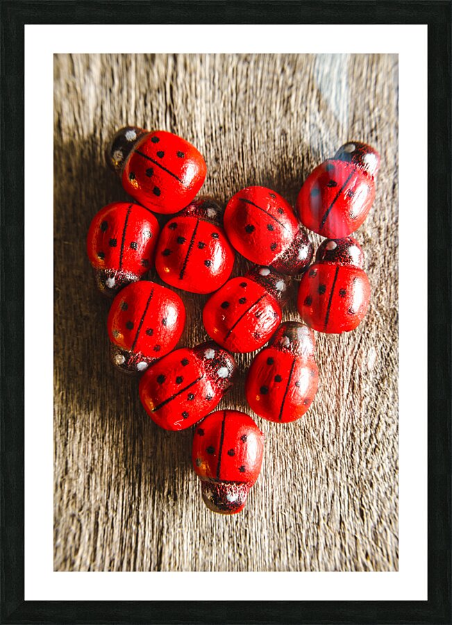Love bug Picture Frame print