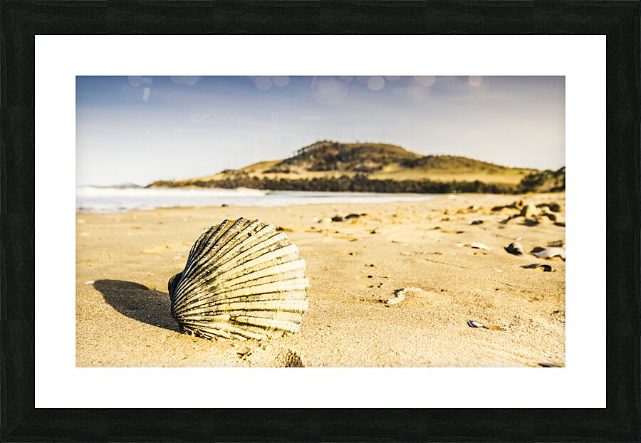 Seven Mile Beach Picture Frame print