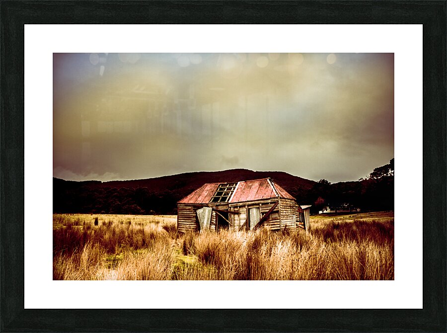 Collapsing old wooden farm building Picture Frame print