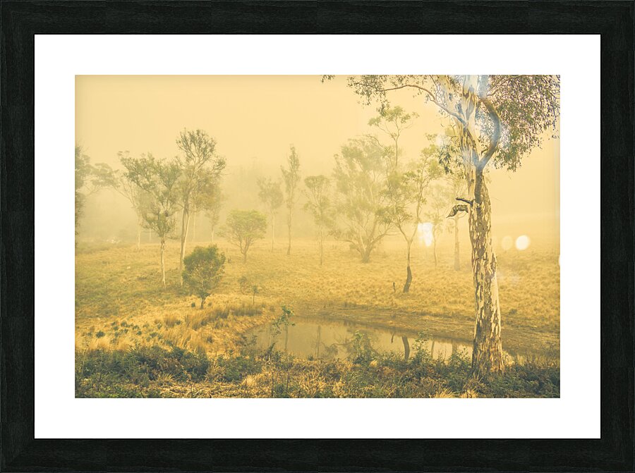 Mystical lake Picture Frame print