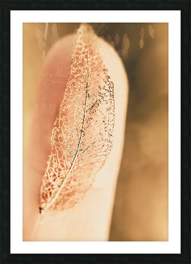 Autumn fragility Picture Frame print