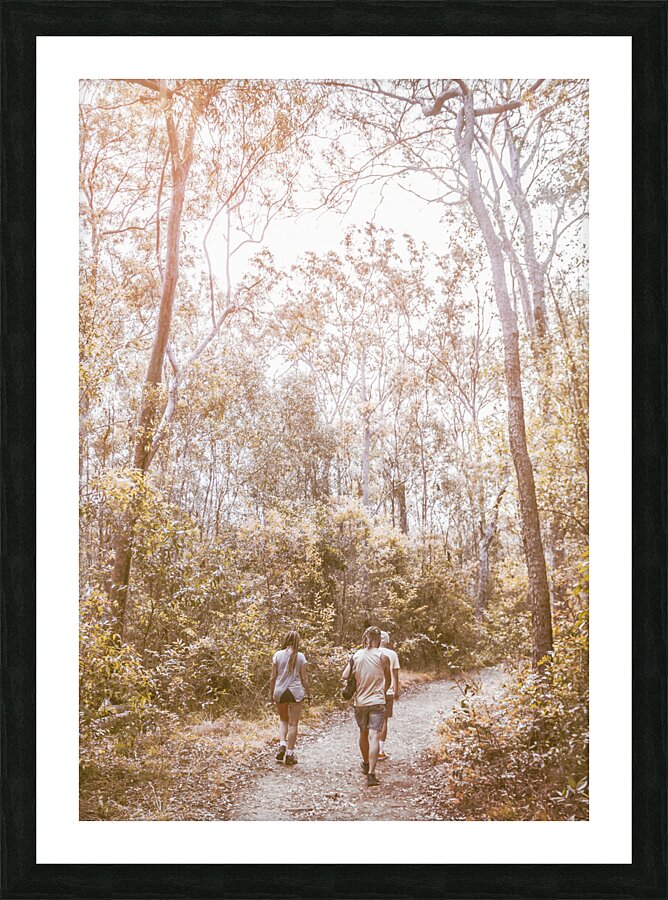 Touring Mt Walsh National Park Picture Frame print