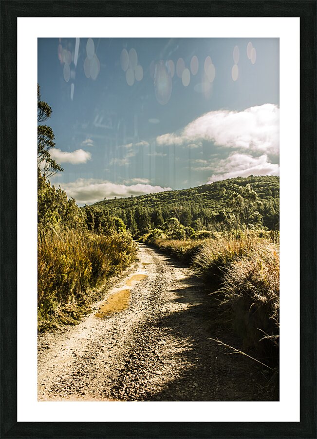 Zeehan dirt road landscape Picture Frame print