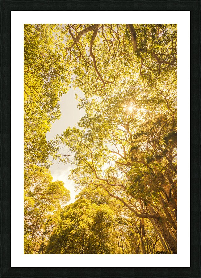 Up and away Picture Frame print