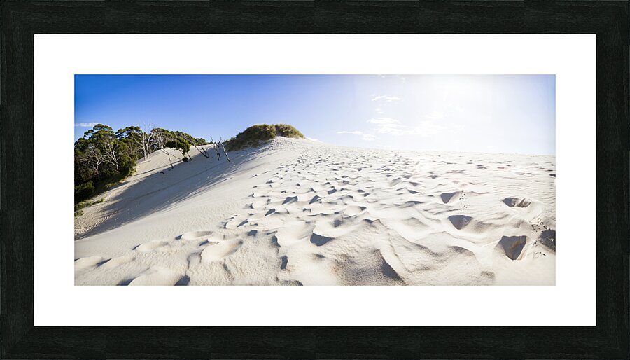 West Coast Tasmania desert panorama Picture Frame print