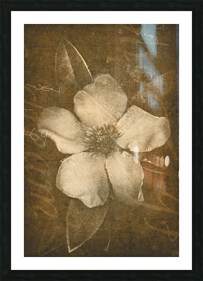 Vintage postcard flower Picture Frame print