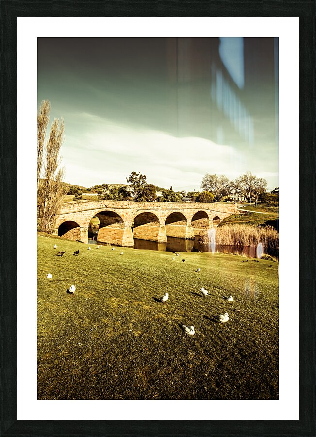 Australian bridges Picture Frame print