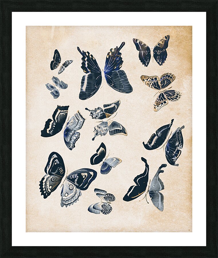 Scrapbook butterflies Picture Frame print