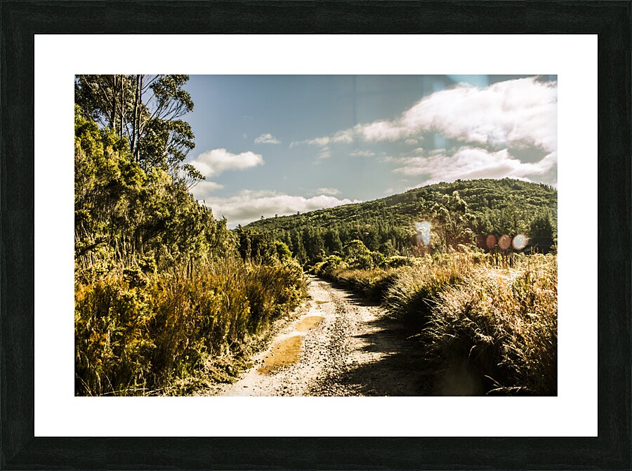 Rural paths out yonder Picture Frame print